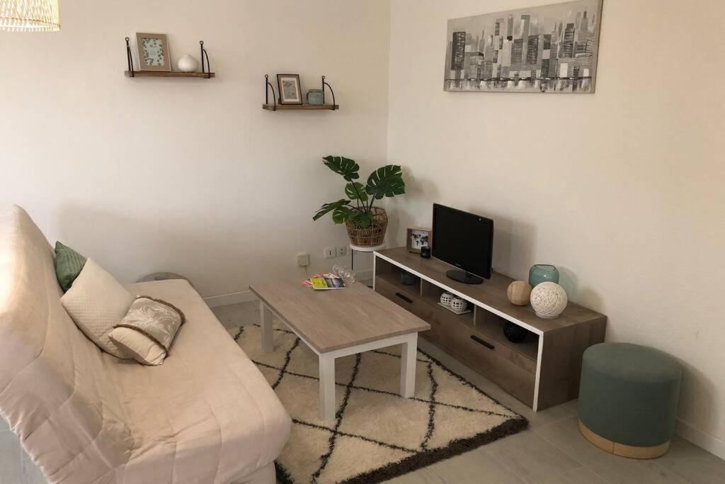 Appartement Cosy Avec Jardin A Blagnac. Dış mekan fotoğraf